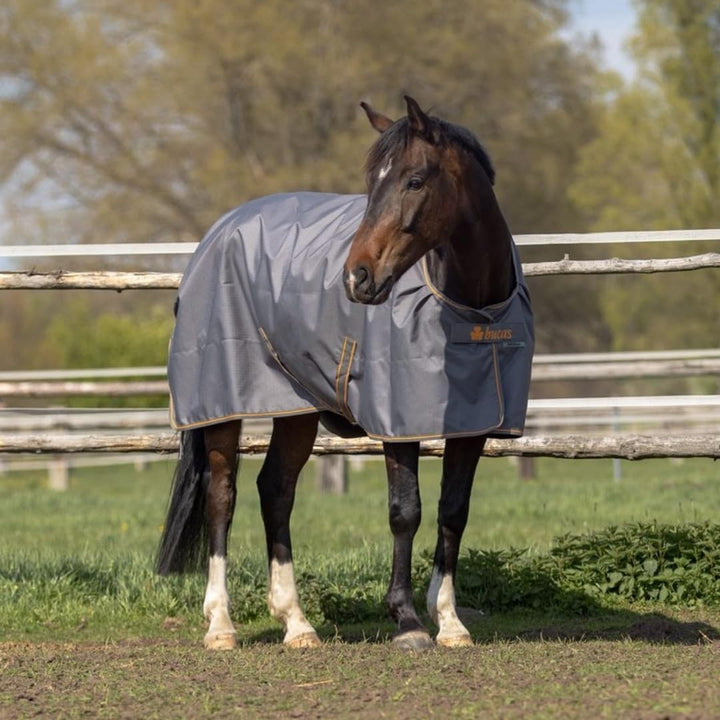 Marengos by Bucas - Winterdecke Weidedecke 1200D Irish Turnout mit 50g, 100g, 200g oder ohne Füllung