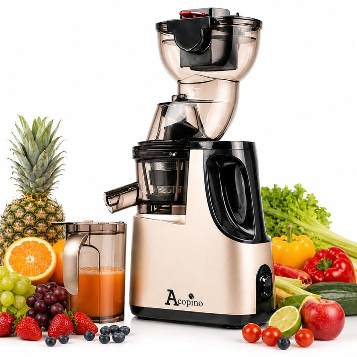 Slow Juicer Delicato, elektrische Fruchtpresse, Entsaften von ganzen Früchten und Gemüse, 83-mm Öffn