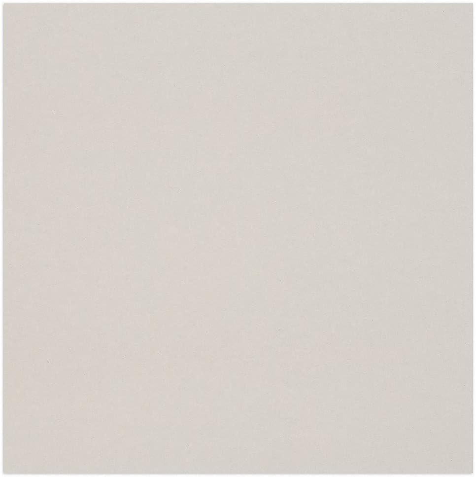 Clairefontaine 93981C Packung (mit 10 Bögen Pappe, 60 x 80 cm, 2,5 mm, 1625 g, ideal für Modellbau,