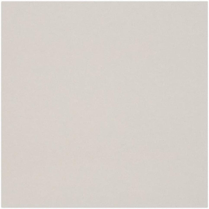 Clairefontaine 93981C Packung (mit 10 Bögen Pappe, 60 x 80 cm, 2,5 mm, 1625 g, ideal für Modellbau,