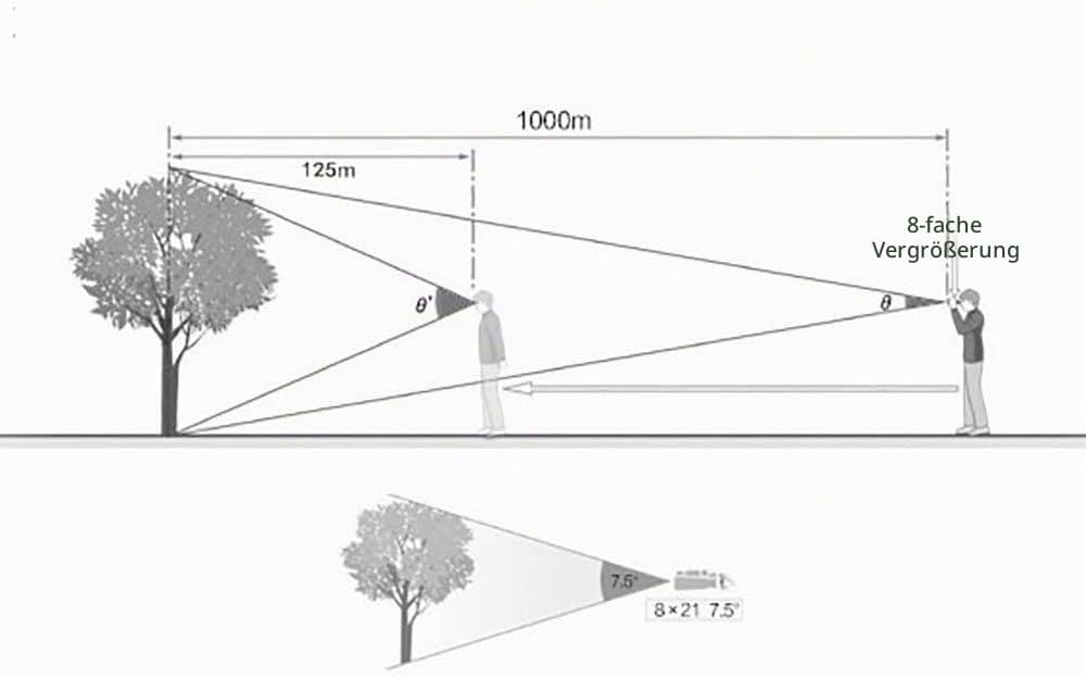 Mini-Komplexe 8x21 Leichte Ferngläser für Konzerte, Sport, Wanderungen und Vogelbeobachtung