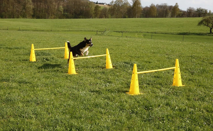 Kerbl Pet Agility Pylonen-Hürden Set, gelb, 3 Hürden
