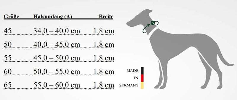 HUNTER SOLID EDUCATION Dressurhalsung für Hunde, Leder, weich, griffig, 45 (S-M), oliv oliv 45 (S-M)