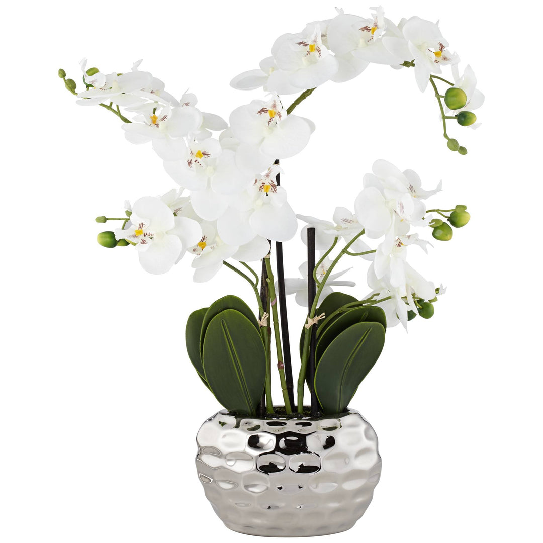 Dahlia Studios Kunstpflanze Orchidee Phalaenopsis mit silber-farbigem Keramiktopf - ca. 53cm hoch (w