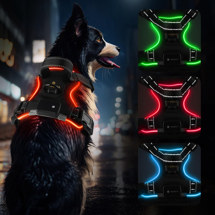 MASBRILL Hundegeschirr Leuchtend Aufladbar, LED Hundegeschirr Verstellbar Reflektierend mit Griff, W