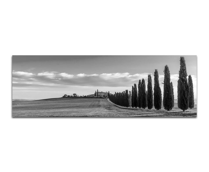 Paul Sinus Art Leinwandfoto als Panorama SCHWARZ/Weiss 150x50cm Italien Toskana Landschaft Zypressen