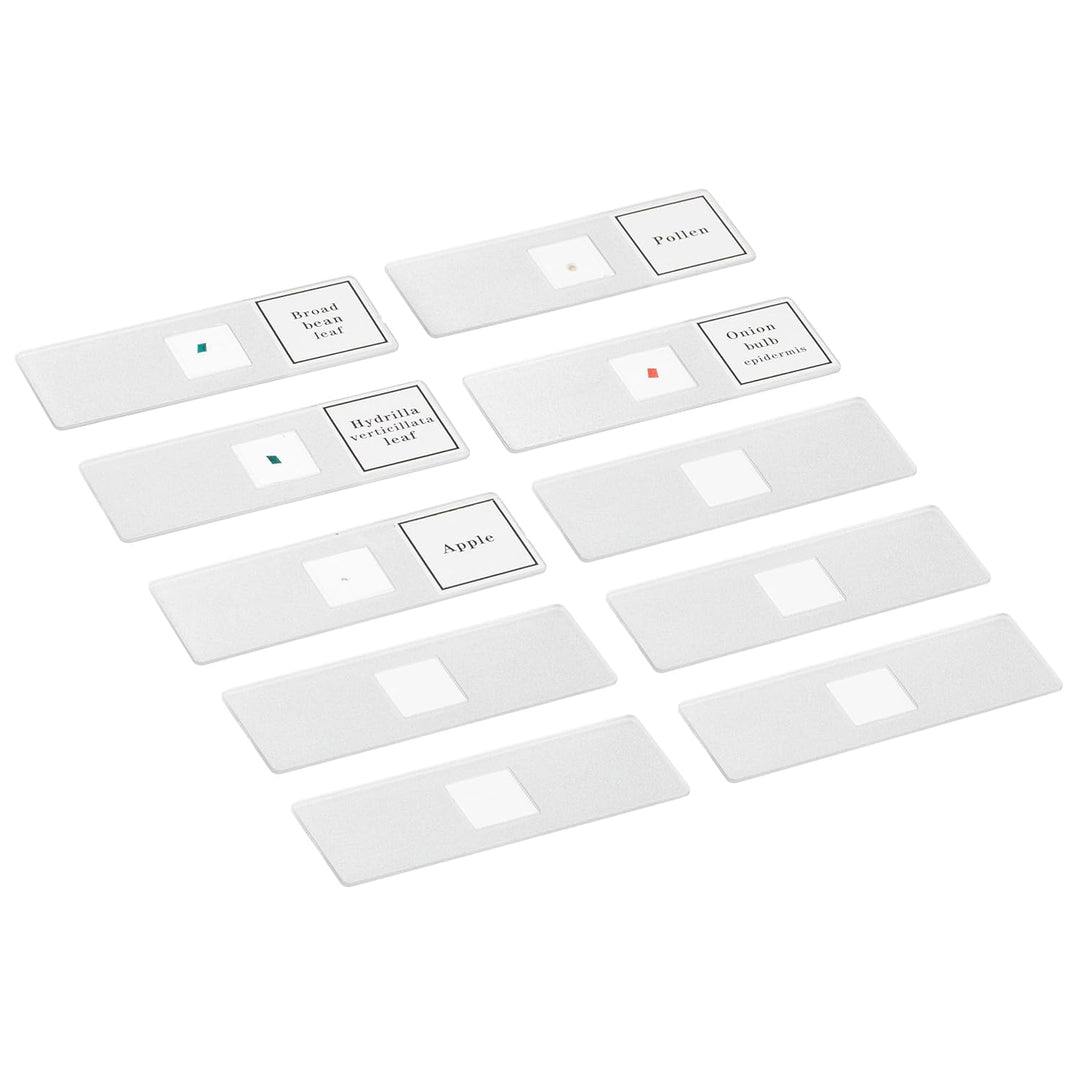 Bresser junior Mikroskop-Set Biotar (300x-1200x mit umfangreichen Zubehör und batteriebetriebener Du