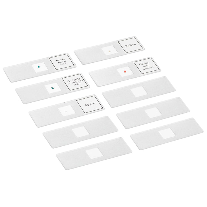 Bresser junior Mikroskop-Set Biotar (300x-1200x mit umfangreichen Zubehör und batteriebetriebener Du