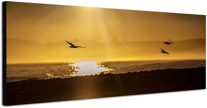 Paul Sinus Art Panoramabild auf Leinwand und Keilrahmen 150x50cm Neuseeland Meer Strand Möwen Sonnen