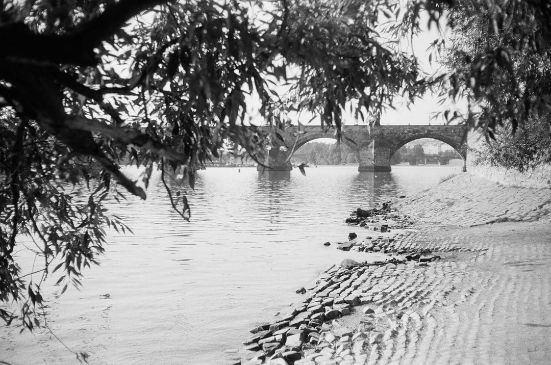 NP100 Schwarz/Weiss Kleinbildfilm (100/21 ISO) - 30,5 Meter B+W 35mm Film 30,5 Meter, B+W 35mm Film