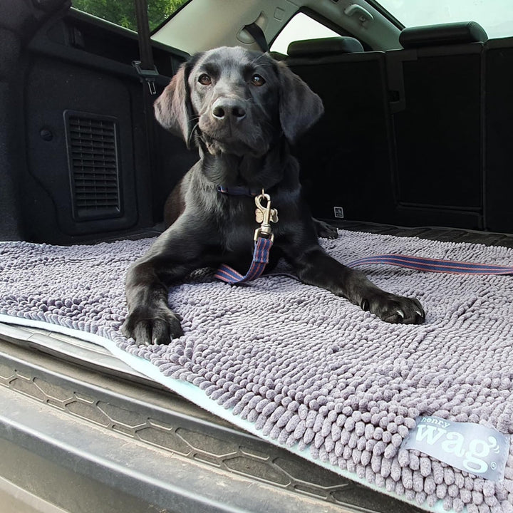 Henry Wag Microfibre Noodle Dog Mat 65 x 50cm farblos, 65 x 50cm farblos