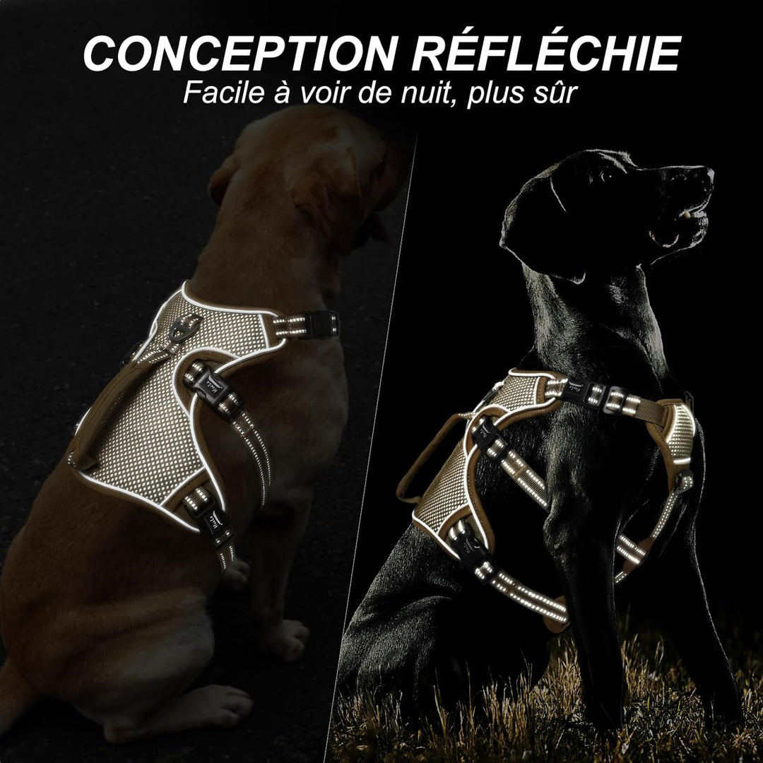 HEELE Hundegeschirr, Ausbruchsicher, Schnalle im Halsbereich, Reflektierend, Brustgeschirr mit Robus