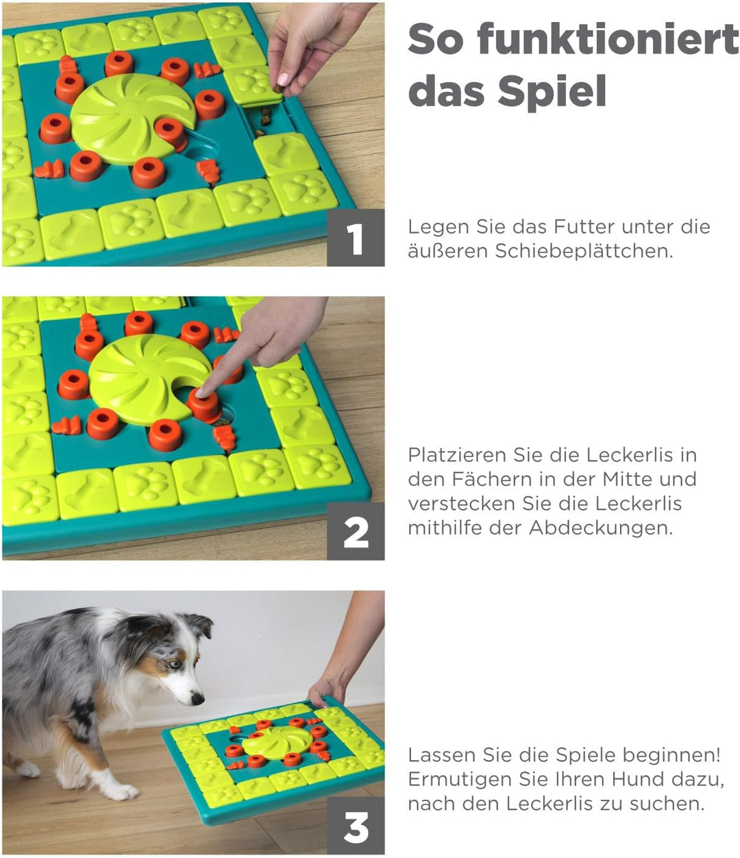 Outward Hound by Nina Ottosson Multipuzzle Level 4 Expert Dog Treat Puzzle for Enrichment, Blue, Mul
