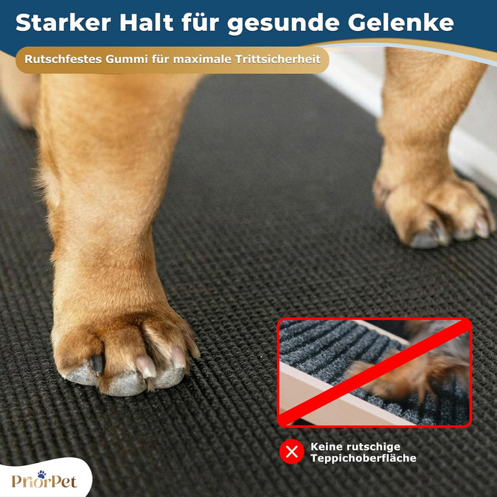 Hunderampe - Hundetreppe für kleine Hunde und grosse Hunde - Einstellbar 18-53 cm - Für Bett, Sofa -