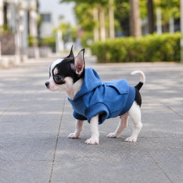 LOPHIPETS Hunde-Kapuzenpullover aus Baumwolle, für kleine Hunde, Chihuahua, Welpen, Kleidung, kaltes