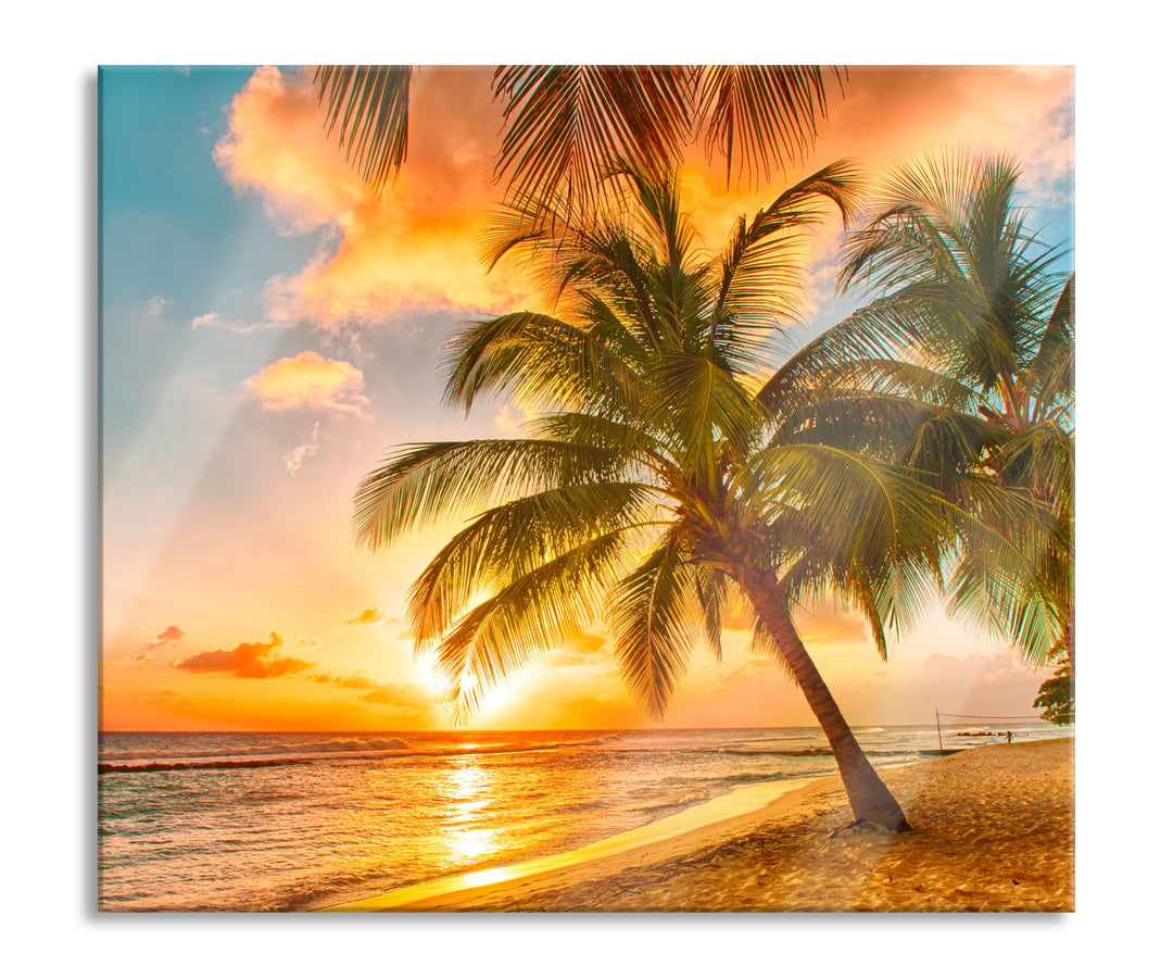 Palmen im Sonnenuntergang auf Barbados Herdabdeckplatte & Spritzschutz aus Echtglas | Für Herd-Kochf