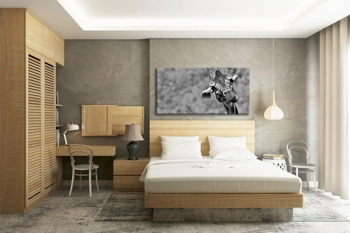 lustige Giraffe Panorama 120x60 cm Effekt: Schwarz/Weiss als Leinwandbild, Motiv fertig gerahmt auf