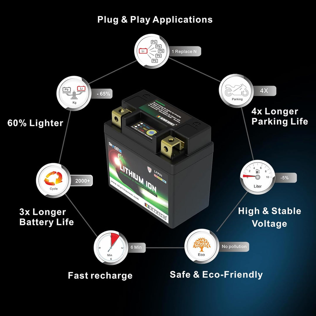 Skyrich Lithium Ion LTKTM04L ohne Pflege
