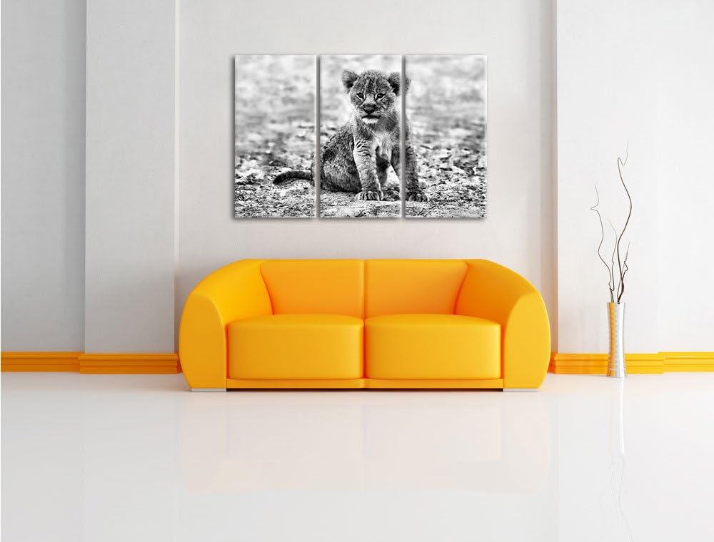 Pixxprint Verlassenes Löwenbaby als Leinwandbild/Grösse: 3 Teilig (120x80) cm/Wandbild/Kunstdruck/fe