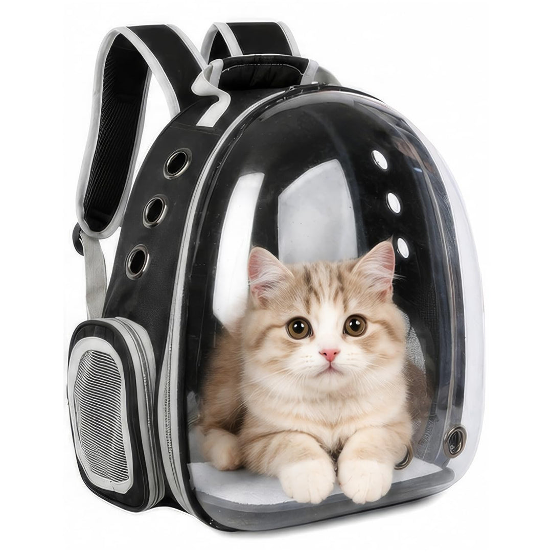 Erweiterbar Katzenrucksack Hunderucksack, Vorderrucksack für Katzen und Kleine Hunde, mit transparen