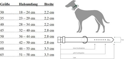 HUNTER SOFTIE Hundehalsband, Kunstleder, samtig, pflegeleicht, 60 (M-L), beige beige 60 (M-L), beige