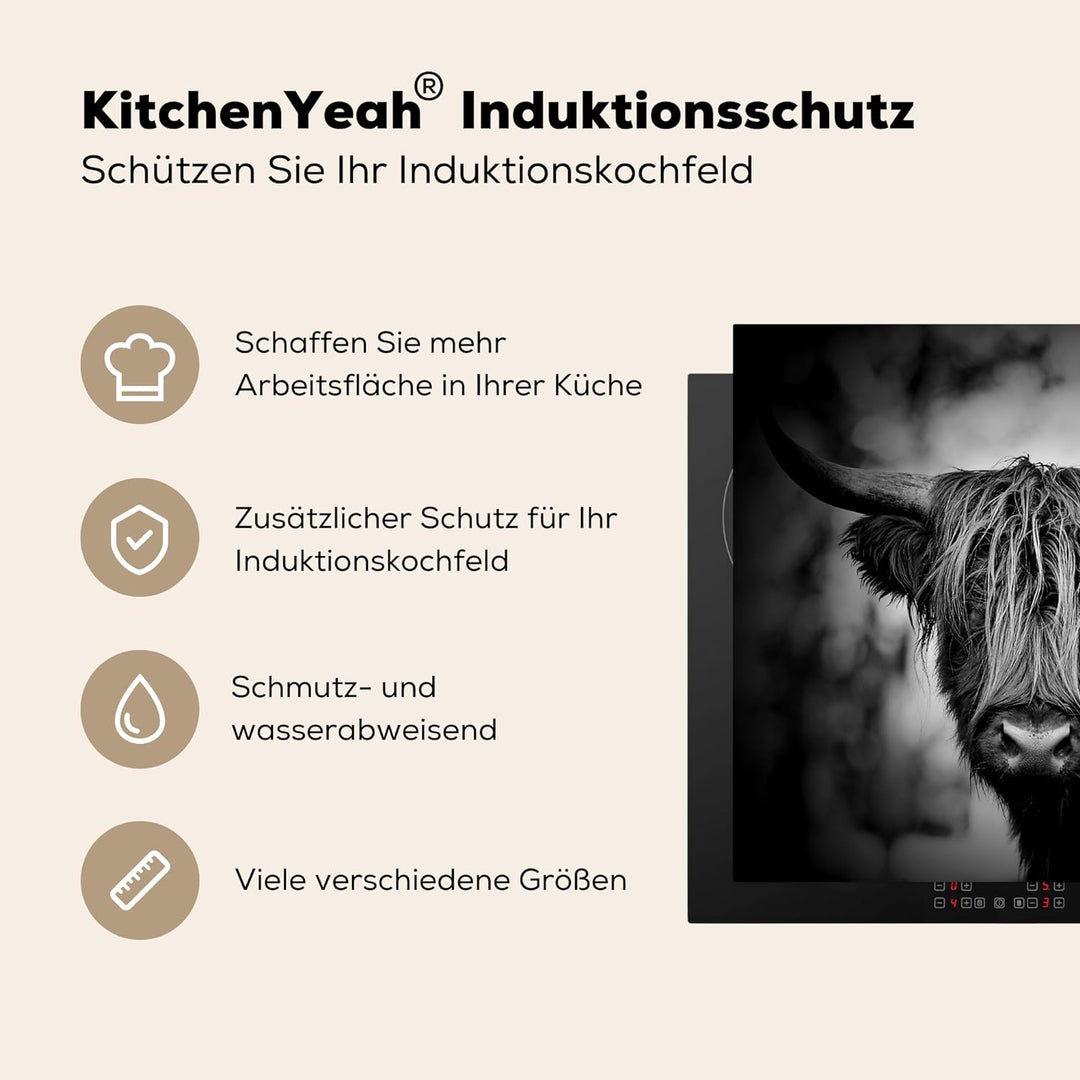 MuchoWow Herdabdeckplatte Ceranfeld Spritzschutz Küche Schottischer Hochländer - Licht - Porträt - N