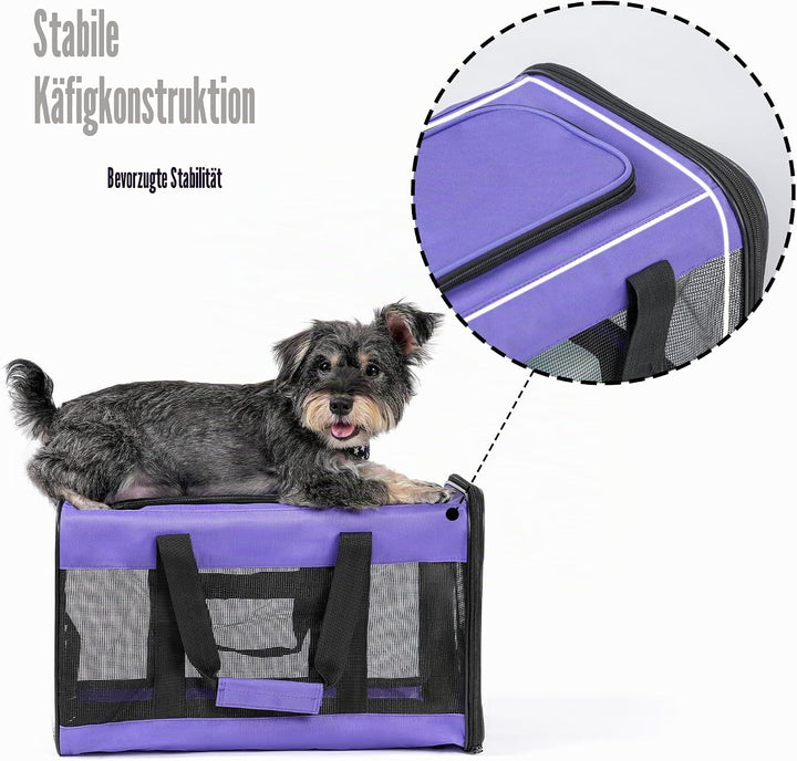 HITSLAM hundebox Faltbar Hundetransportbox Katzentransportbox Katzenbox Transportbox katzentasche fü