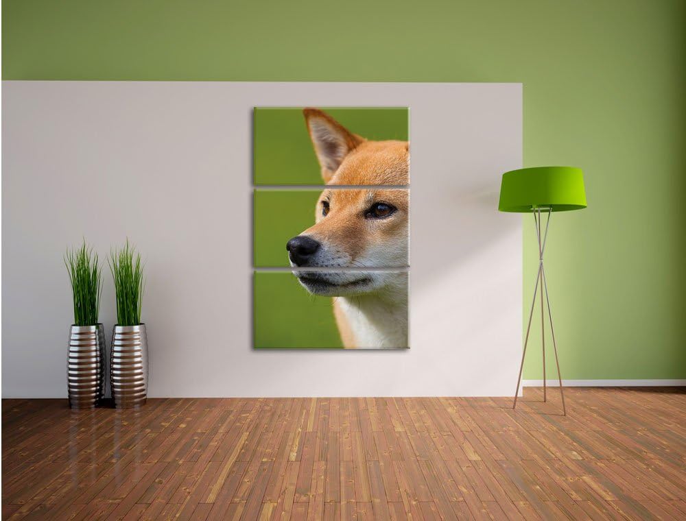 Pixxprint anmutiger Finnen-Spitz Hund im Gras 3-Teiler Leinwandbild 120x80 Bild auf Leinwand
