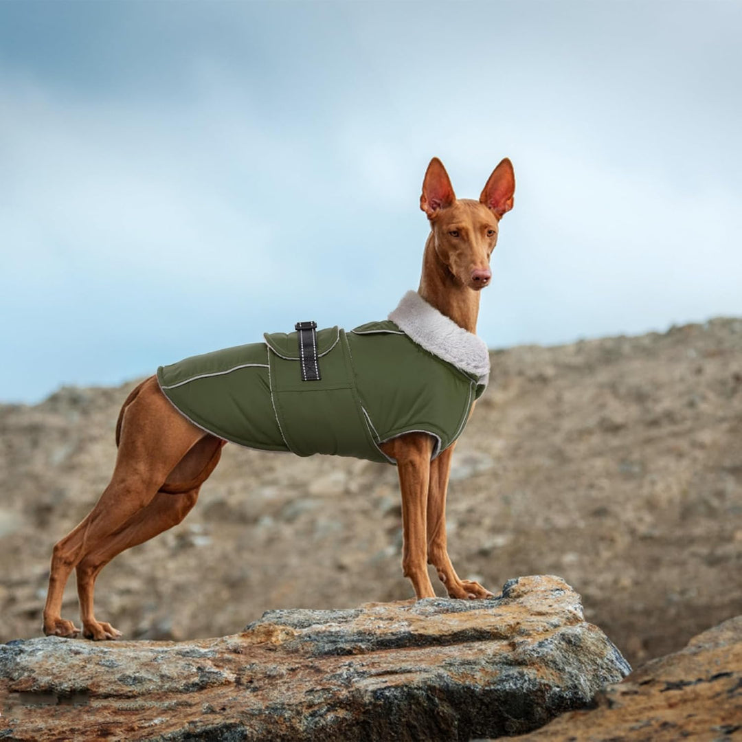 Lelepet Hundemantel Winterweste Reflektierende Fleece Hundejacke für Extra Grosse Hunde Wasserdicht