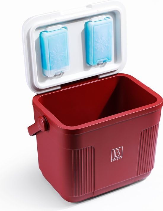 Brisby Kühlbox - 18 Stunden warm - 40 Stunden kühl - Inklusive 4 grosse Kühlelemente 450 ML - 38,3cm