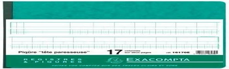 EXACOMPTA 16170E Geschäftsbuch mit Kopfleiste, 17 Spalten