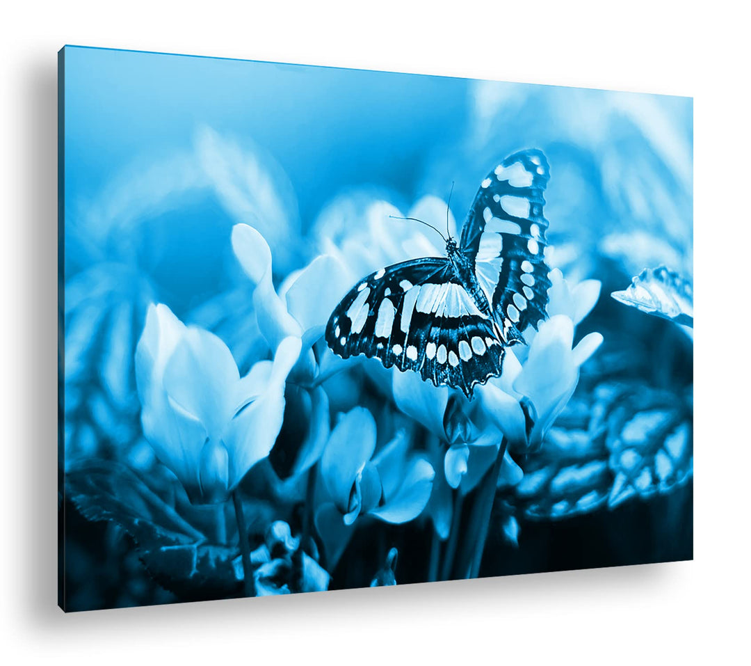 deyoli Pinker Schmetterling Format 80x60 Effekt: Monocrome Blau als Leinwandbild, Motiv fertig gerah