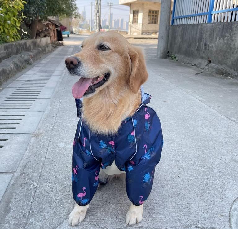 Idepet Regenmantel für Hunde Regenjacke Hund Winddicht Wasserdicht Hundamantel mit Kapuze für kleine