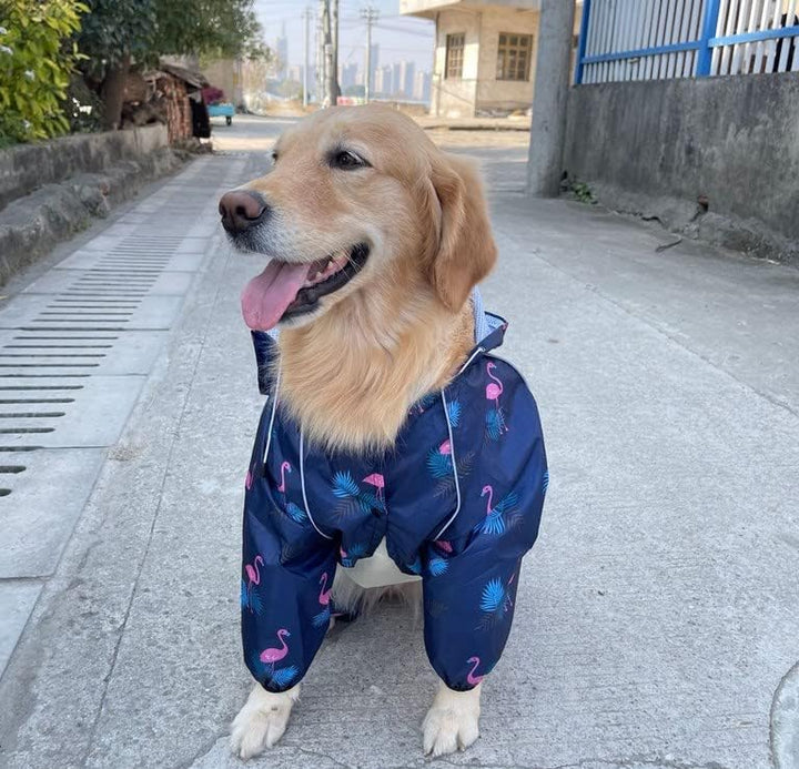 Idepet Regenmantel für Hunde Regenjacke Hund Winddicht Wasserdicht Hundamantel mit Kapuze für kleine