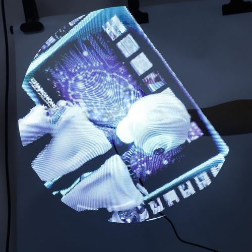 Dpofirs 3D-Hologramm-Lüfter WiFi-Projektor 16,5 Zoll, 3D-Hologramm-Werbedisplay-Lüfter, 800 X 480P H