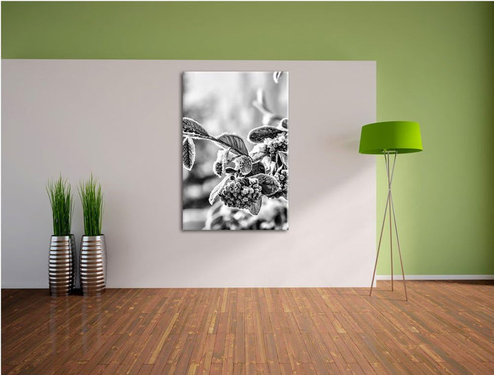 Pixxprint Vogelbeeren im Winter als Leinwandbild/Grösse: 100x70 / Wandbild/Kunstdruck/fertig bespann