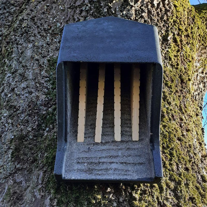Fledermaus Grossraumkasten für Kleinfledermäuse aus Holzbeton | Fledermausquartier | Fledermauswoche