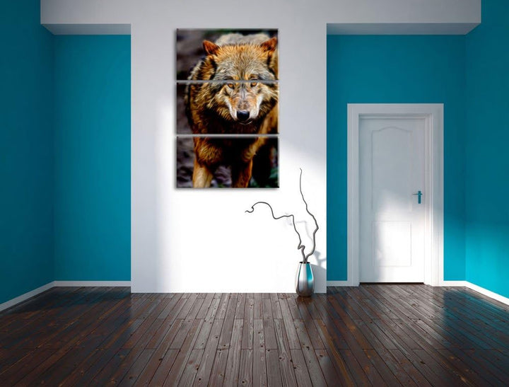 scheuer Wolf Spezial 3-Teiler Leinwandbild 120x80 Bild auf Leinwand, XXL riesige Bilder fertig gerah