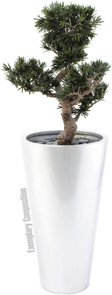 Euro Palms Wohnaccessoires & Deko, Grün