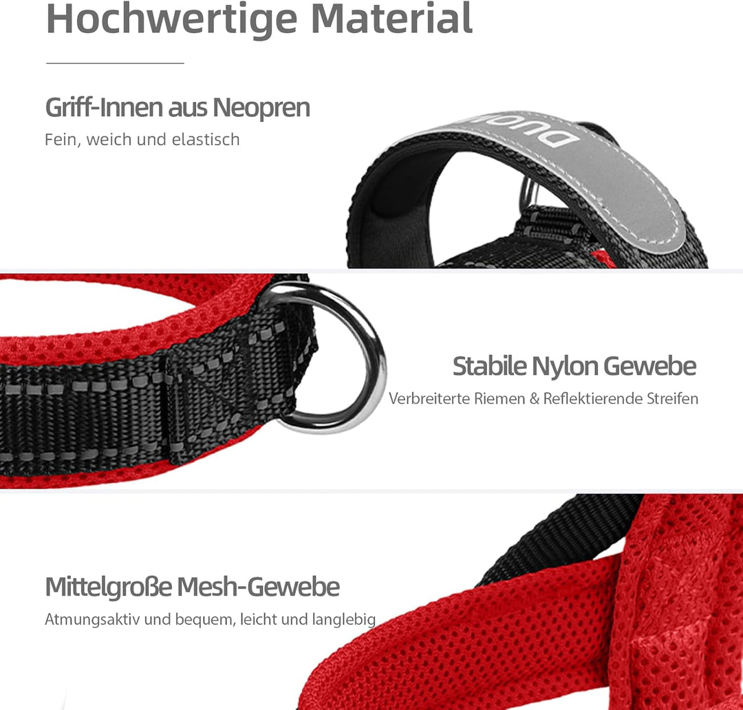Hundegeschirr mit Leine für Mittelgrosse Kleine Hunde Welpen, Bunt Farbblock Geschirr, Mesh Gepolste