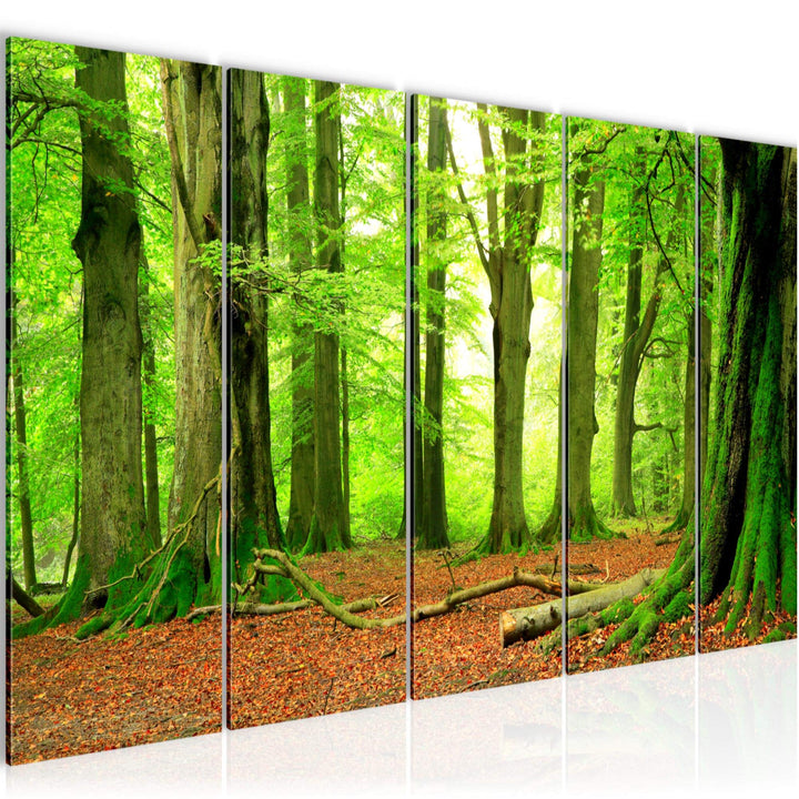 Runa Art Bild Wald Landschaft Wandbilder auf Vlies Leinwand 5 Teilig Wanddekoration Schlafzimmer Woh