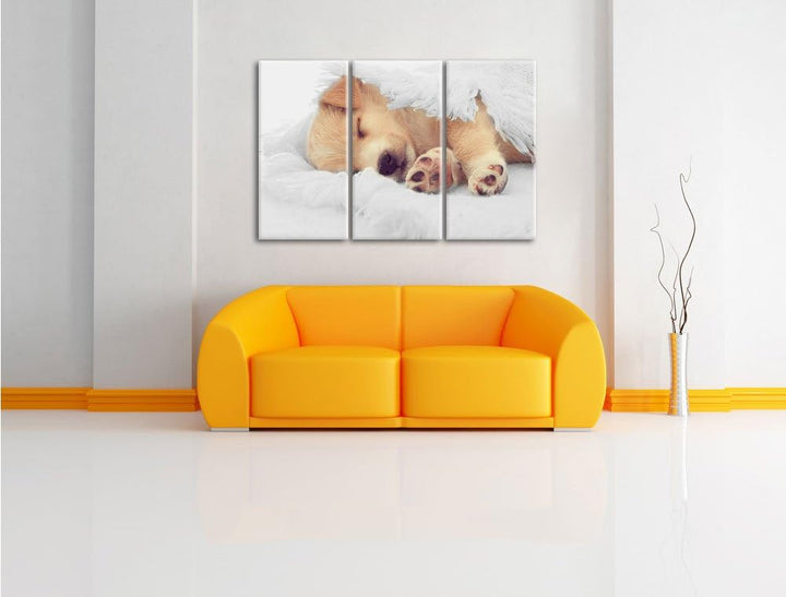 Pixxprint Kleiner schlafender Welpe als Leinwandbild/Grösse: 3 Teilig (120x80) cm/Wandbild/Kunstdruc