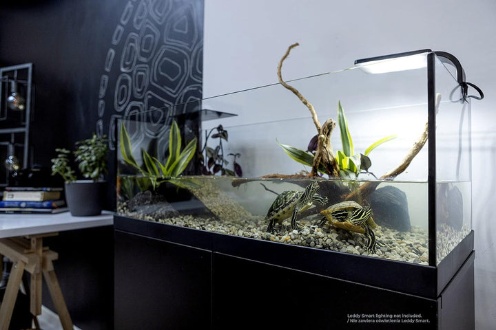 Aquaterrarium 60 schwarz 60 x 30 x 20.5 cm (Pack of 1), schwarz 60 x 30 x 20.5 cm (Pack of 1)