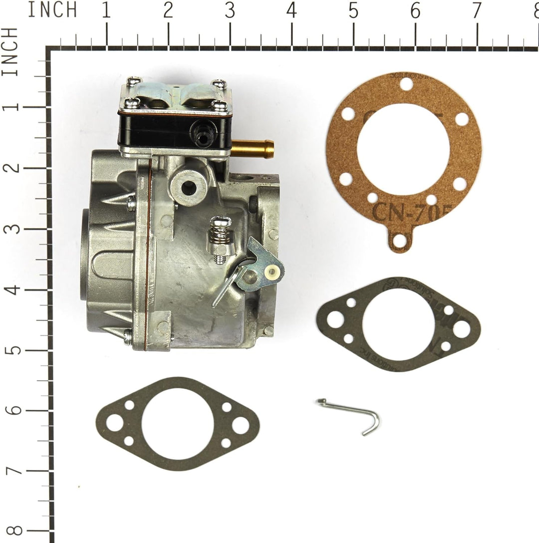 Briggs & Stratton 693480 Vergaser für Modelle 499306, 495181 und 495026