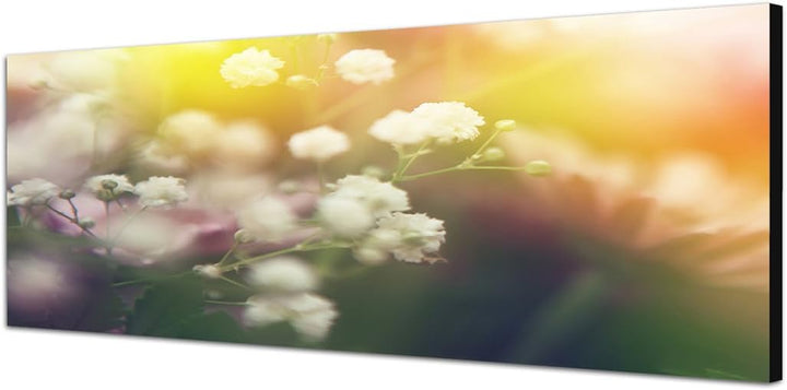 Paul Sinus Art Panoramabild auf Leinwand und Keilrahmen 150x50cm Blumen Licht Frühling abstrakt