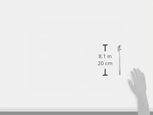 Zwilling NOVA 6 Latte Macchiatolöffel 210 x 90 x 37 mm, 07141-304, Latte