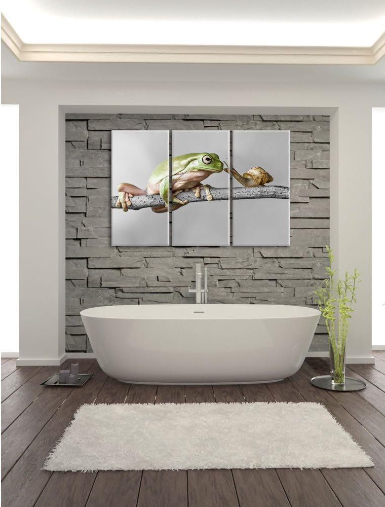 Pixxprint der Frosch und die Schnecke B&W Detail 3-Teiler Leinwandbild 120x80 Bild auf Leinwand