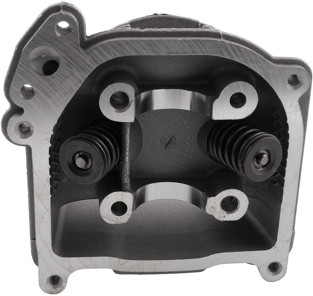 Zylinderkopf mit SLS inkl. Ventilen 139QMB / QMA - AGM-GMX 450 [QM50QT-6A]