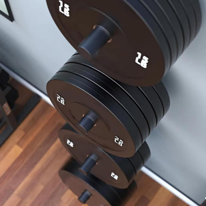 2 Stück Hantelscheibenständer, 50MM Hantelscheiben Halterung wandmontiert Wall Mounted Weight Plate