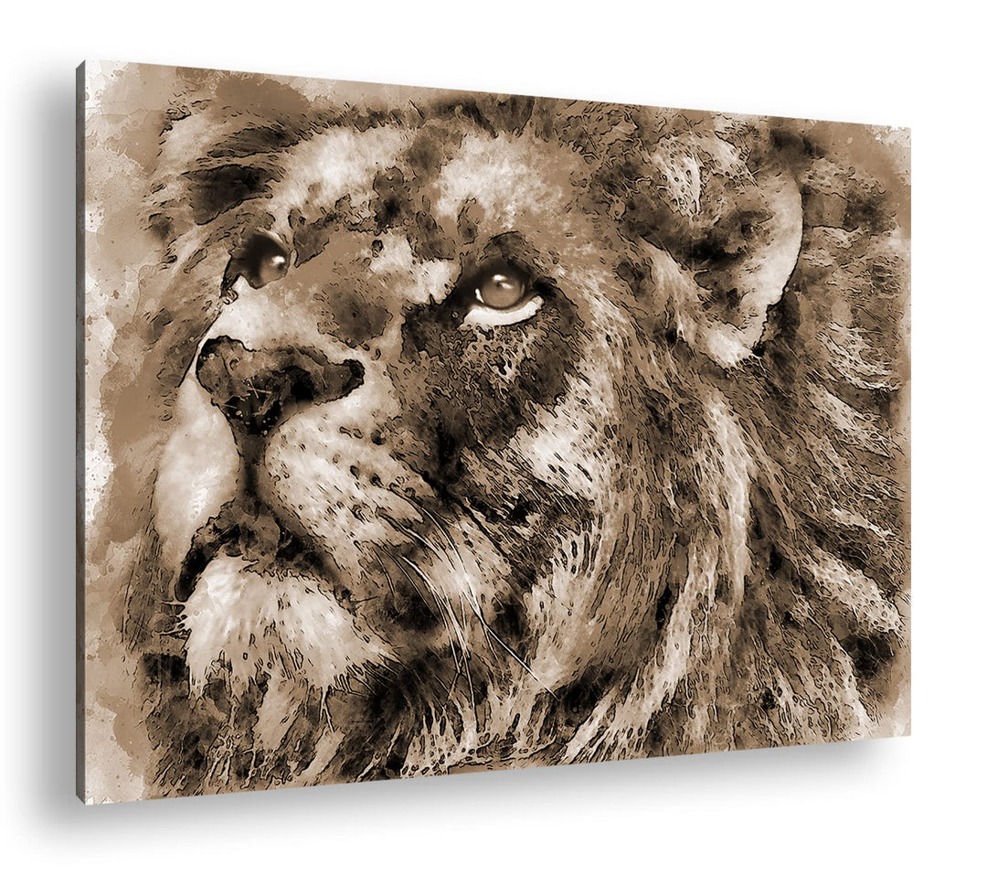 deyoli Löwen Porträt Format: 80x60 Effekt: Sepia als Leinwandbild, Motiv fertig gerahmt auf Echtholz